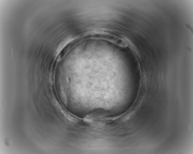 X0000099510893200806051144