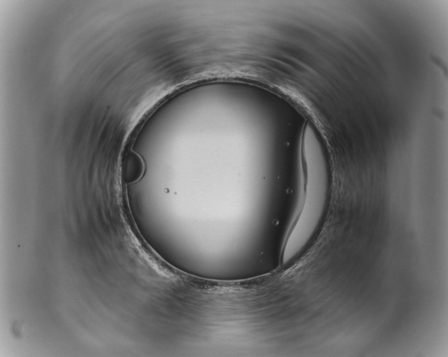 X0000099510894200806051144