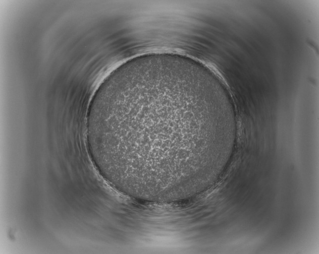 X0000099510895200806051144