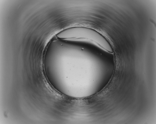 X0000099510896200806051144