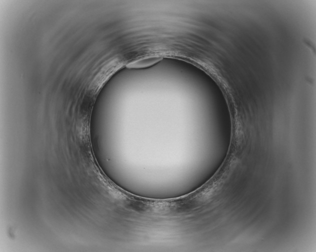 X0000099510897200806051144