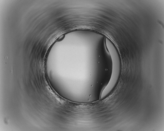 X0000099510898200806051144