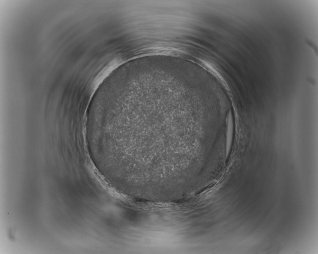 X0000099510899200806051144