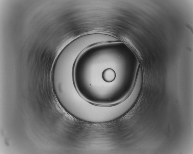 X0000099510900200806051144