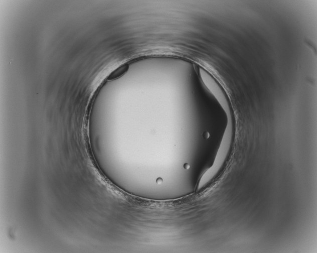 X0000099510901200806051144