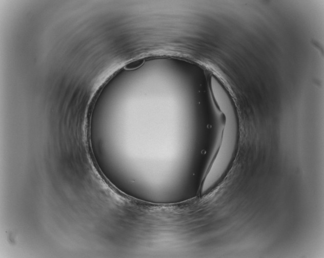 X0000099510902200806051144