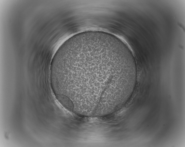 X0000099510903200806051144