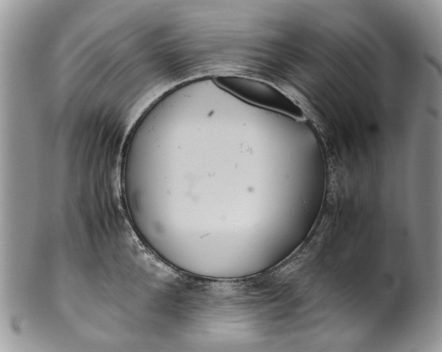 X0000099510904200806051144