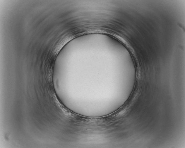 X0000099510905200806051144