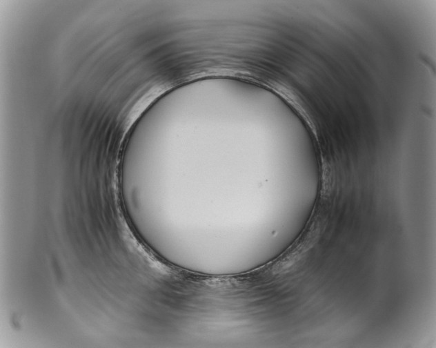 X0000099510906200806051144