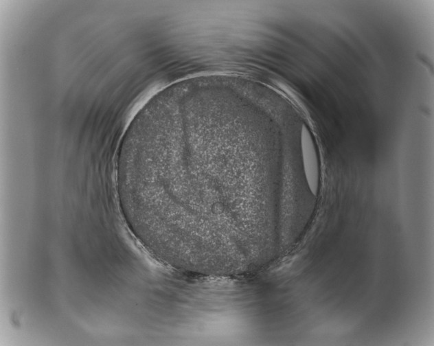 X0000099510907200806051144