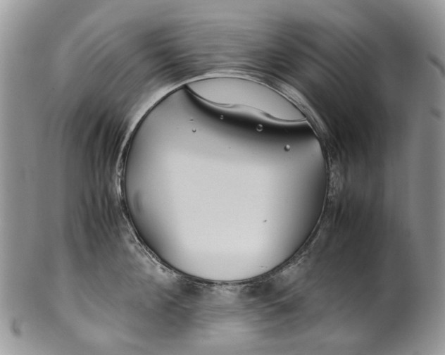 X0000099510908200806051144