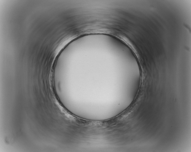 X0000099510909200806051144