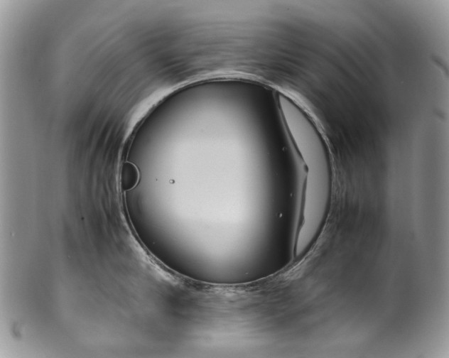 X0000099510910200806051144