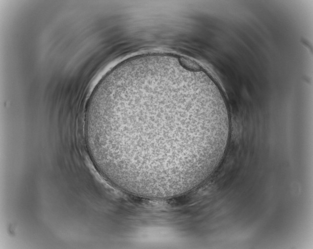 X0000099510911200806051144