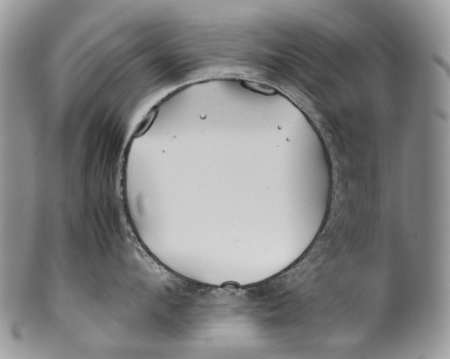 X0000099510912200806051144