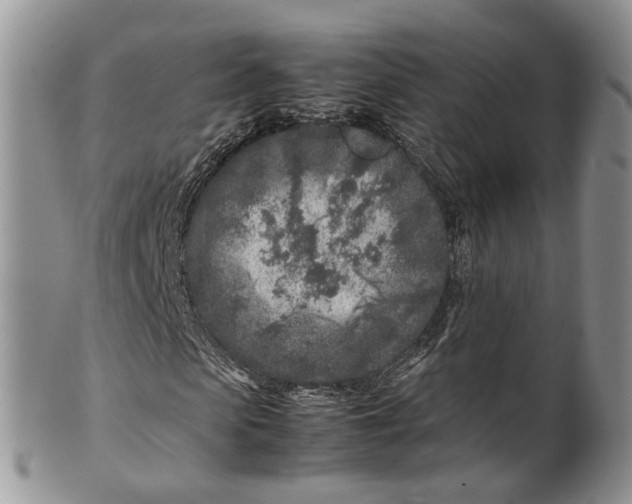 X0000099510913200806051143