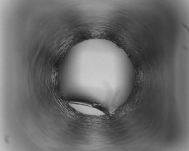 X0000099510914200806051143