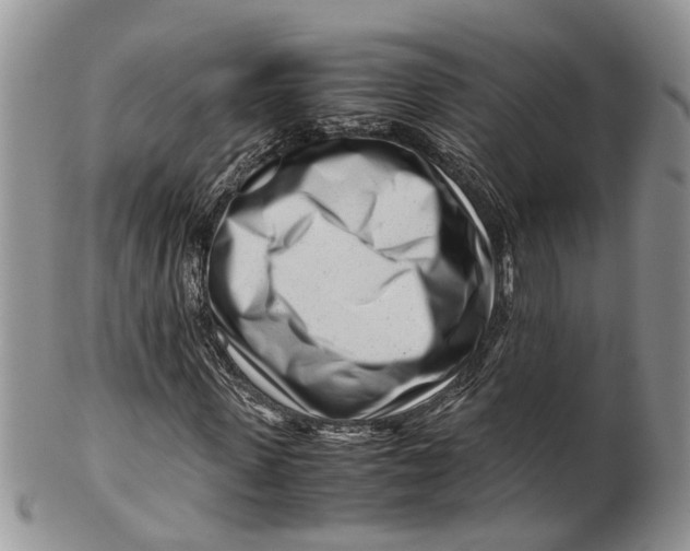 X0000099510915200806051143