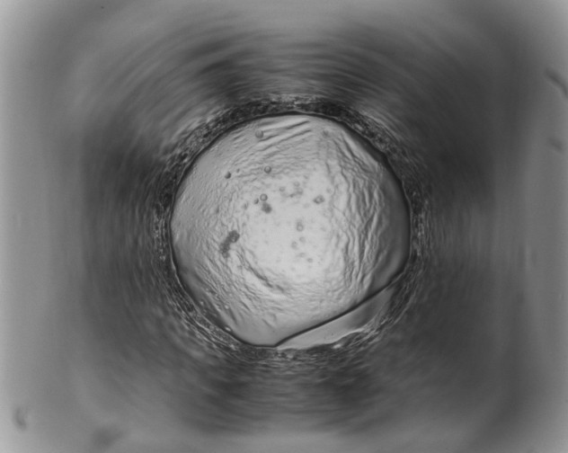 X0000099510917200806051143