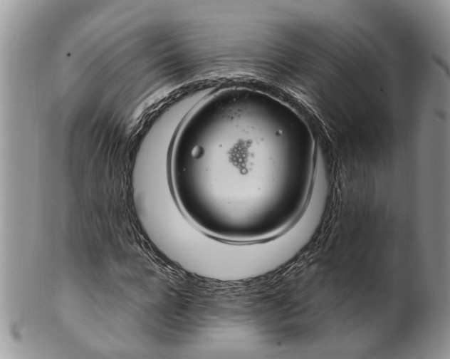 X0000099510920200806051143