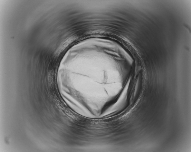 X0000099510921200806051143