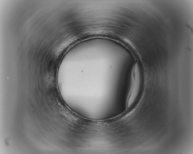 X0000099510922200806051143