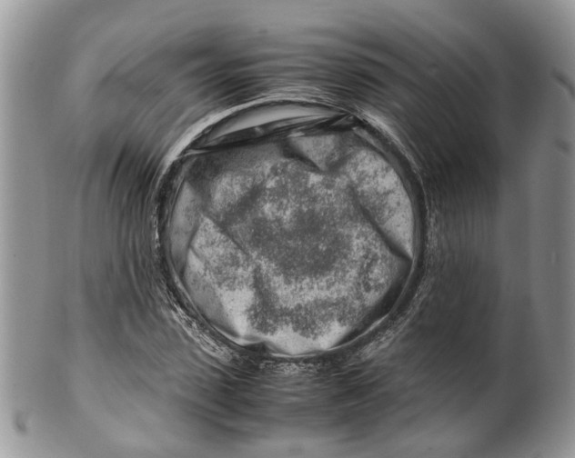 X0000099510923200806051143