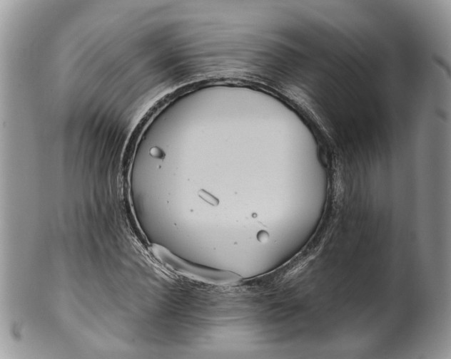 X0000099510924200806051143