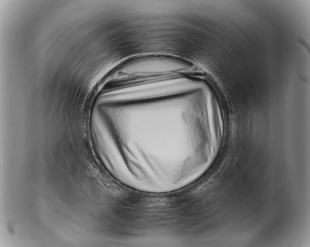 X0000099510925200806051143