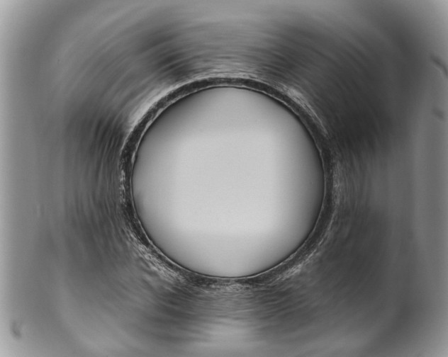 X0000099510926200806051143