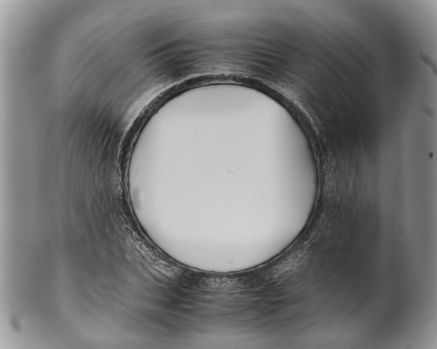 X0000099510927200806051143