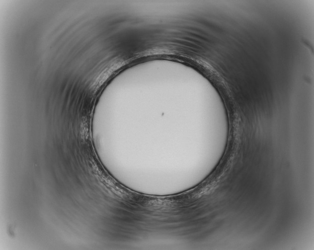 X0000099510929200806051143