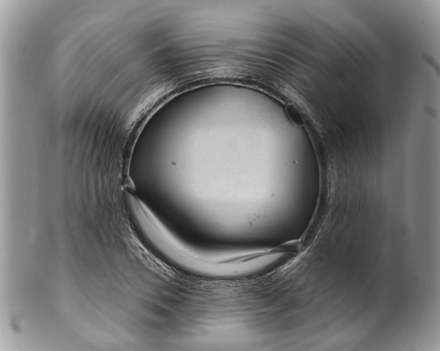 X0000099510930200806051143