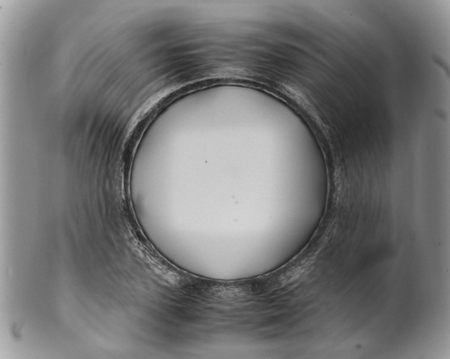 X0000099510931200806051143