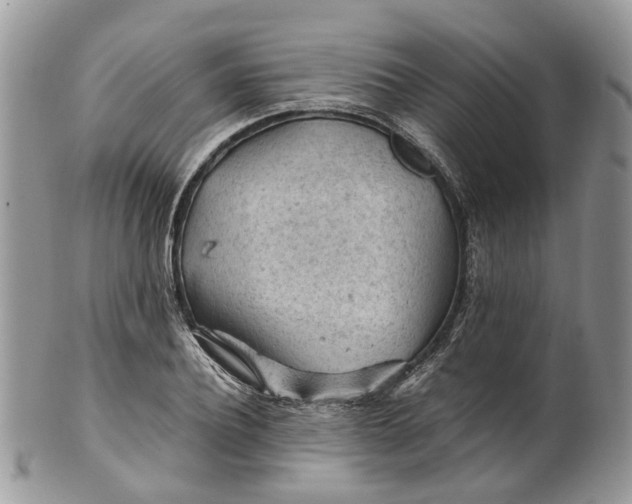 X0000099510932200806051143