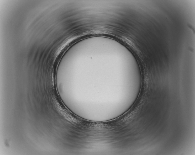 X0000099510934200806051144