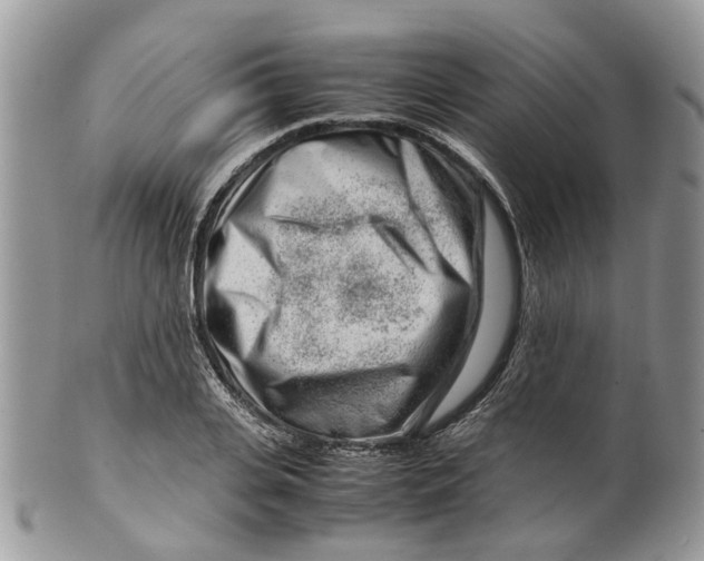 X0000099510935200806051144