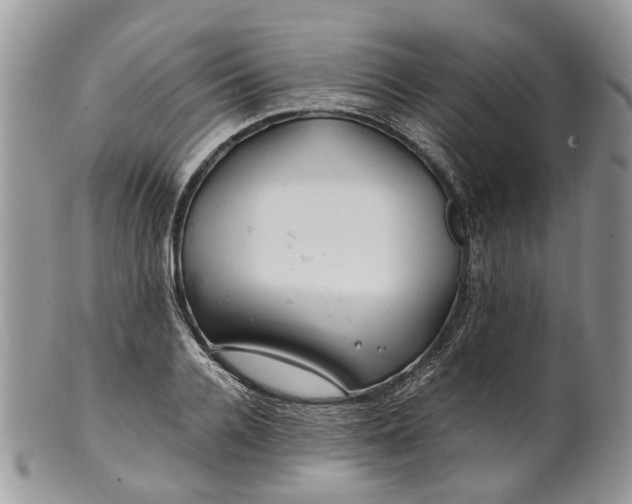 X0000099510936200806051144