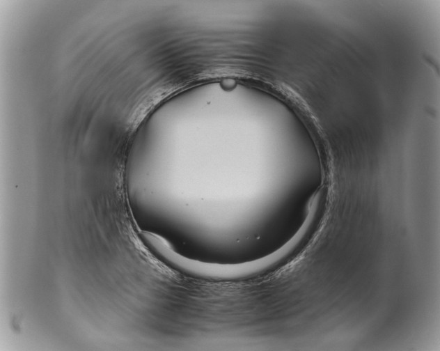 X0000099510937200806051144