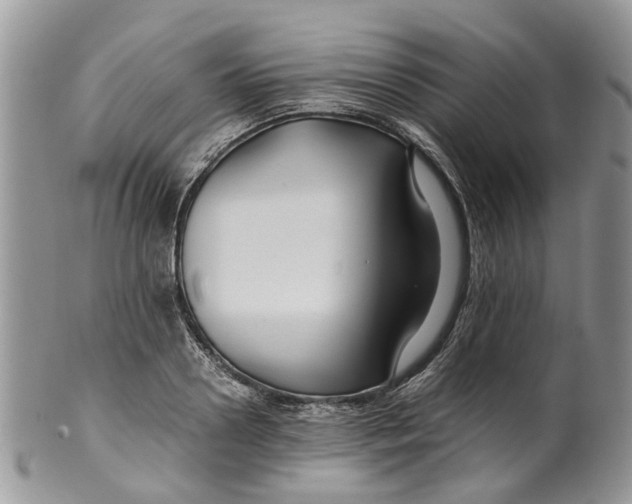 X0000099510938200806051144