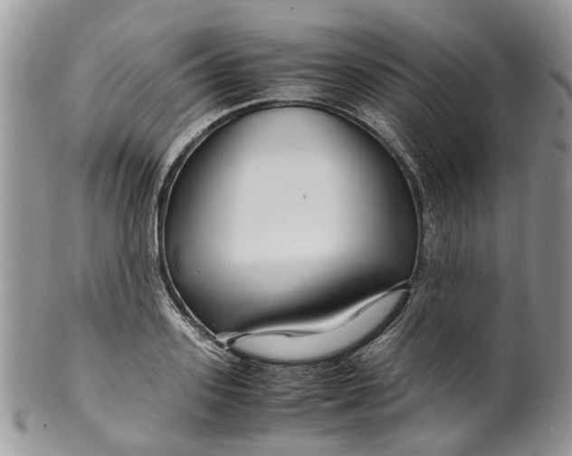 X0000099510939200806051144