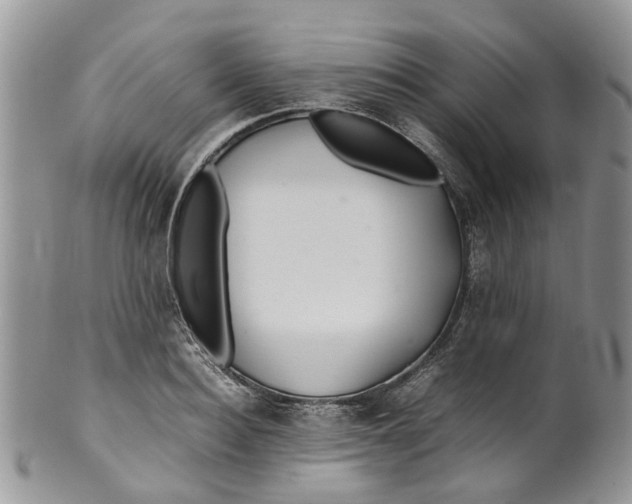 X0000099510940200806051144