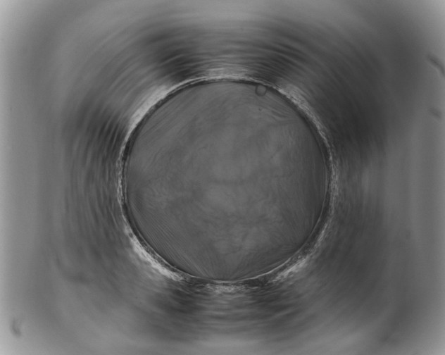 X0000099510941200806051144