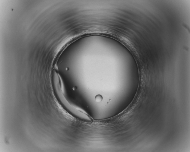 X0000099510942200806051144