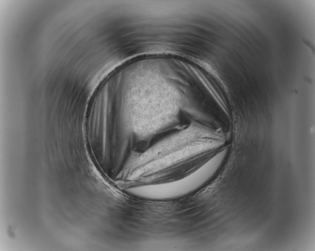 X0000099510943200806051144