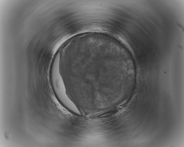 X0000099510944200806051144