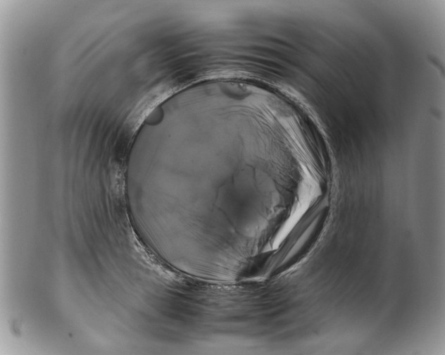 X0000099510945200806051144