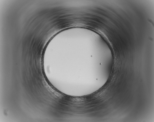 X0000099510947200806051144