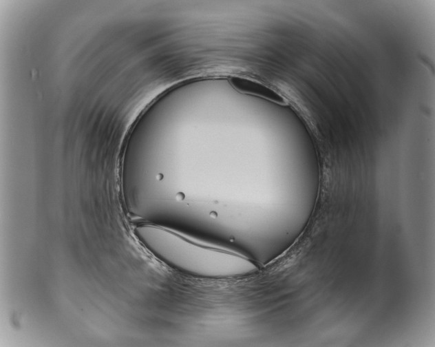 X0000099510948200806051144